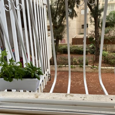 סורגי מתכת לבנים עם עציץ ירוק תלוי