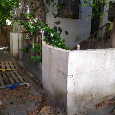 ענפים גזומים על הקרקע ליד עץ וגדר