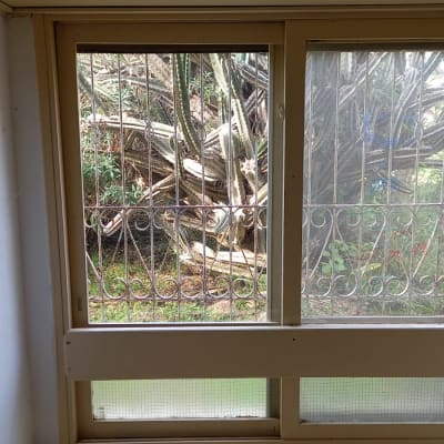 חלון זכוכית עם סורגי מתכת