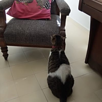 ביקורת איכות 2