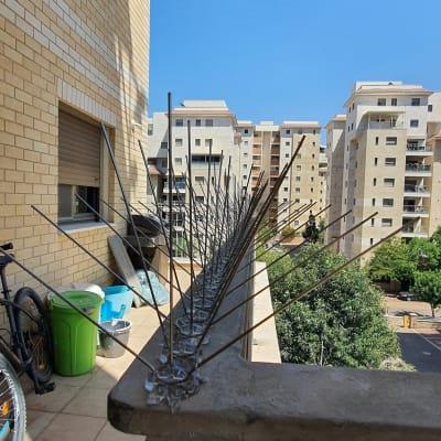 דוקרנים למניעת יונים על מעקה מרפסת