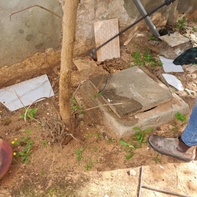 אדם מרסס חומר הדברה ליד עץ קטן