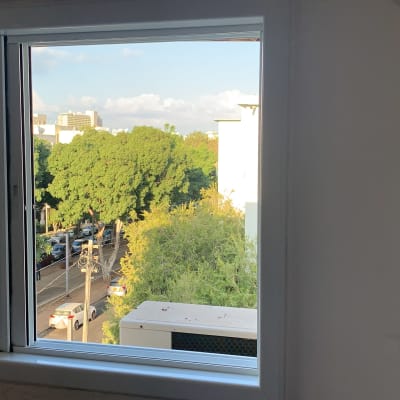 חלון אלומיניום עם נוף חיצוני של עצים