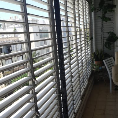 תריסים לבנים על מרפסת עם צמחייה