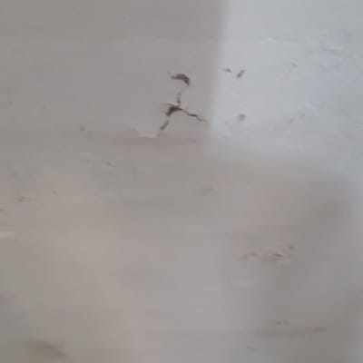 קיר עם סדקים וצבע מתקלף