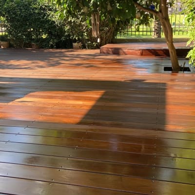 דק עץ בגינה עם עצים מסביב