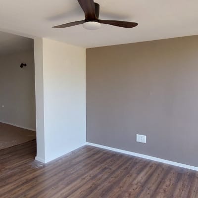 קיר צבוע בצבע חום בהיר עם שקי צבע על הרצפה