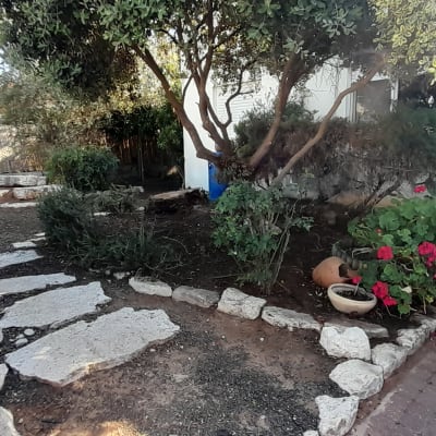 שביל אבנים בגינה עם עצים ופרחים