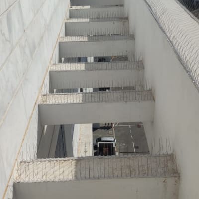 דוקרנים למניעת יונים על קירות וגגות בניין