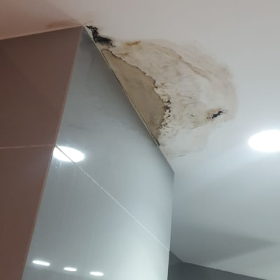 תקרה עם כתמי רטיבות ועובש