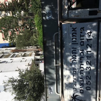 רכב עם כיתוב על גיזום וכריתת עצים