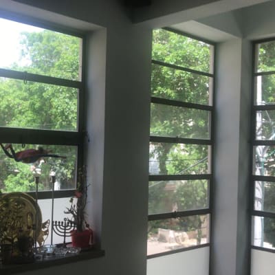 חלונות נקיים עם נוף עצים ירוקים מבחוץ