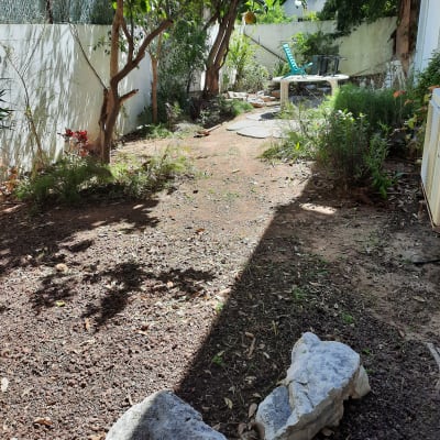 עץ לימון, אדמה, צמחים ושולחן בגינה