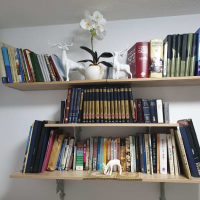 מדף עץ עם ספרים ופסלונים