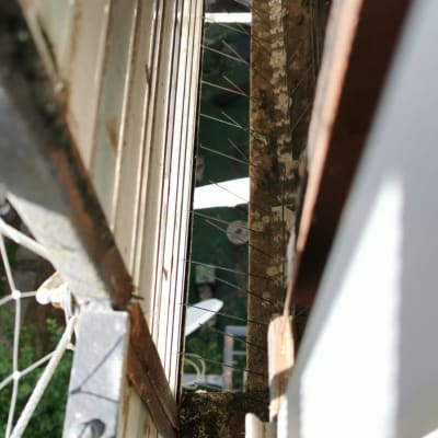 רשת מתכת עם דוקרנים למניעת כניסת יונים