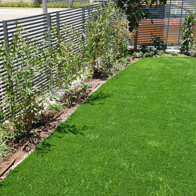 דשא ירוק, שיחים ושתילים בגינה קטנה