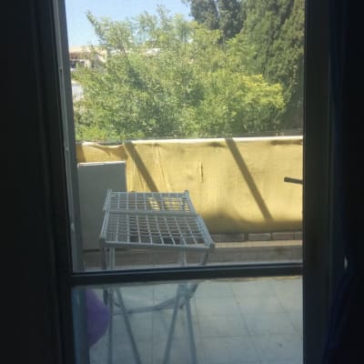 תריסים פתוחים עם נוף עצים ברקע