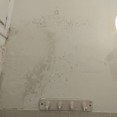 קיר עם כתמי עובש וכתמי צבע מתקלף