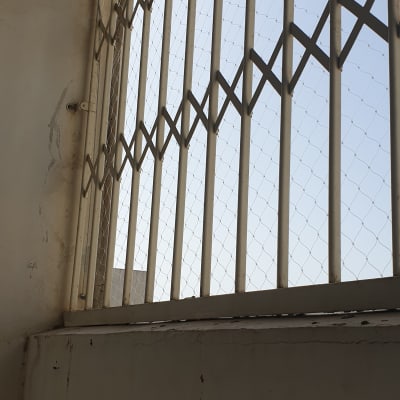 רשת מתכת על חלון למניעת כניסת יונים