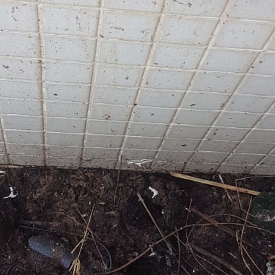 קיר אריחים מלוכלך עם אדמה וענפים בתחתית