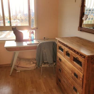 שולחן עם חתול, בקבוק מים ומראה על הקיר