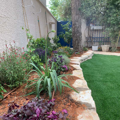 גינה עם צמחים, אדמה, צינורות השקיה ומקלות תמיכה