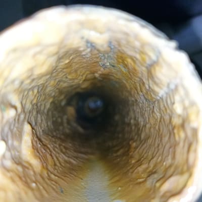 תקריב של פנים צינור עם הצטברות אבנית