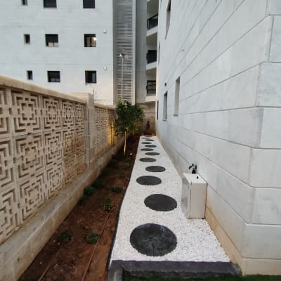 שביל אבנים עם צמחים קטנים בצד