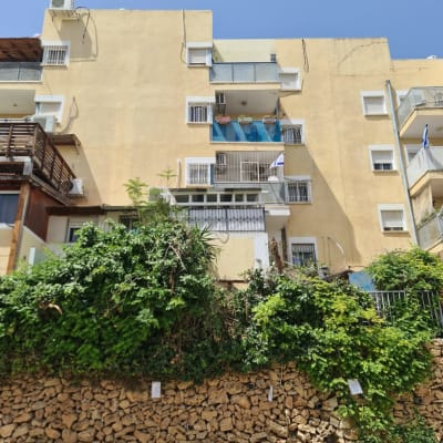 בניין עם צמחייה צפופה שזקוקה לגיזום