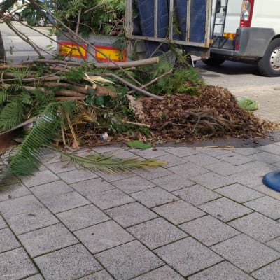 ענפים גזומים על המדרכה ליד משאית