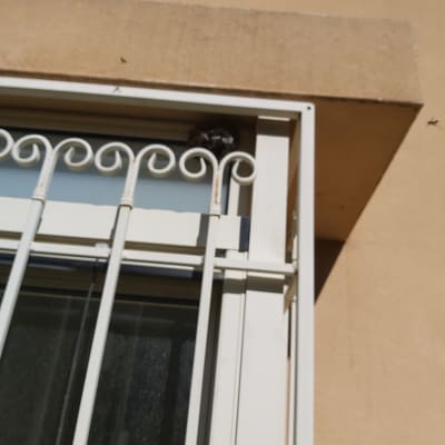 קן צרעות בפינת חלון עם סורגי מתכת