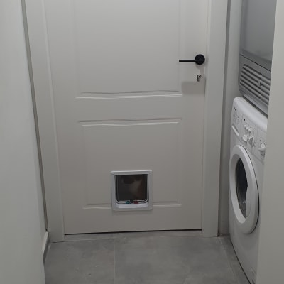 דלת לבנה עם ידית שחורה ודלת לחיות מחמד