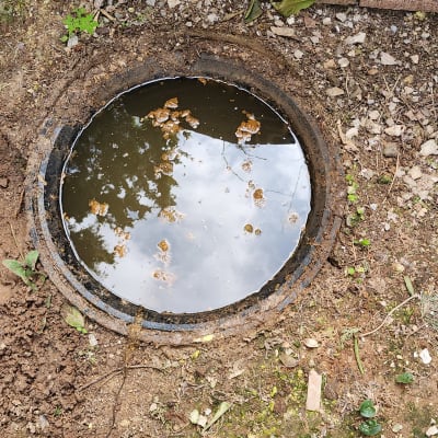 פתח ביוב עם מים עומדים וסביבו אדמה רטובה
