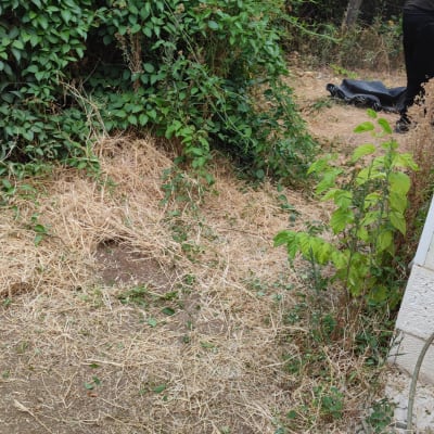 אדם גוזם שיחים בגינה עם כלי עבודה