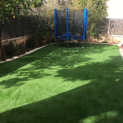 דשא ירוק ועצים בגינה פרטית