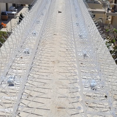 דוקרנים למניעת יונים על גג בטון