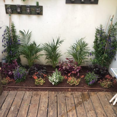 גינה קטנה עם צמחים ופרחים צבעוניים על אדמה חומה