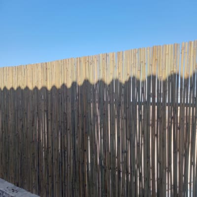 גדר במבוק לגינה על רקע שמיים כחולים