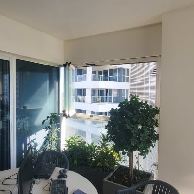 עציצים עם צמחים ירוקים במרפסת