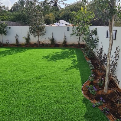 דשא ירוק ועצים בגינה מטופחת