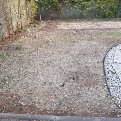 אדמה יבשה עם צינור השקיה ושיחים לאורך הגדר