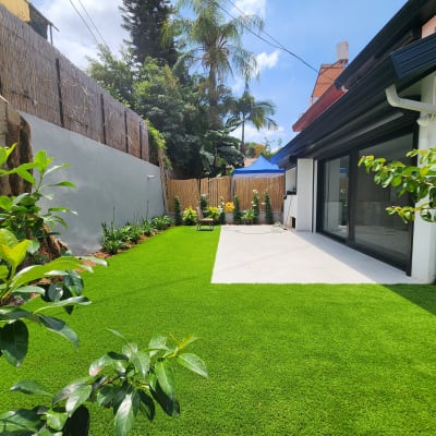 דשא ירוק, עציצים ושתילים בגינה מטופחת