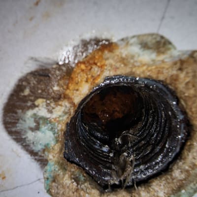 צינור חלוד עם קורוזיה ונזילה