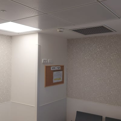 קיר עם טפט עלים דקורטיבי בחדר מואר