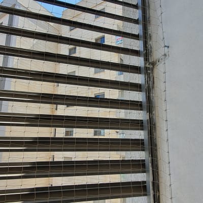 רשת מתוחה על חלון למניעת כניסת יונים