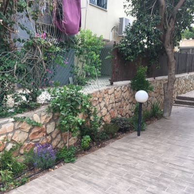 צמחים ופרחים לאורך שביל עם גדר אבן