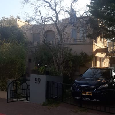 עץ גזום בחצר בית עם ענפים חשופים