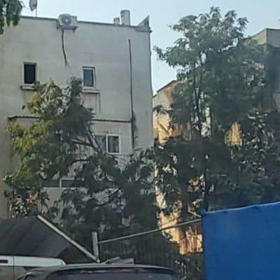 בניין עם עצים גזומים בחזית