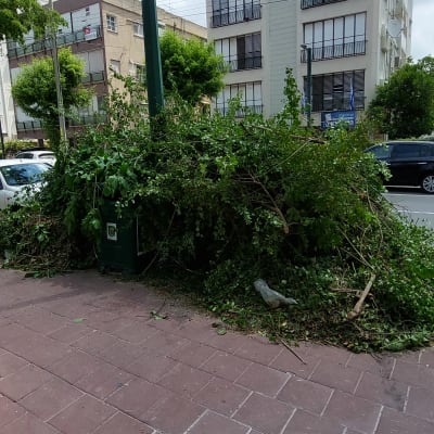 ערימת גזם על המדרכה ליד עמוד תאורה