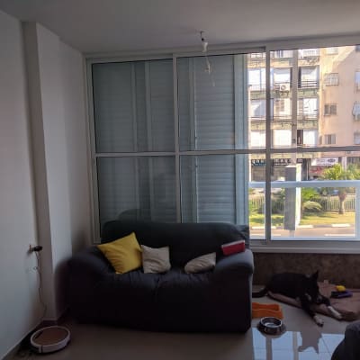 חלון אלומיניום עם תריסים סגורים